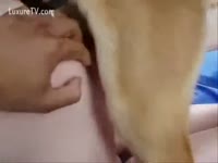 Bestiality XXX Film - Dog grabs the chance to fuck a Girl and Man aids dog to fuck